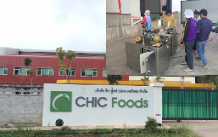 เครื่องผ่ามะพร้าวสด (สแตนเลส) ระบบไฮดรอลิค บริษัท ชิกฟู๊ดส์ (ประเทศไทย) จำกัด